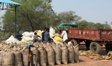 *जिले में अवैध धान भंडारण पर खाद्य विभाग की कार्रवाई*  *17 व्यापारियों से 13 लाख रूपए का 622 क्विंटल पुराना धान ज़ब्त