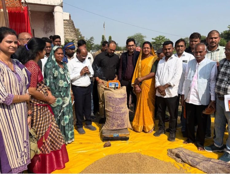 क्षेत्र में धान खरीदी का शुभारंभ: किसानों में उत्साह