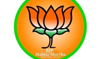 महिला मोर्चा में नियुक्ति: महिला मोर्चा जिलाध्यक्ष स्नेहलता शर्मा ने जारी जिला पदाधिकारी एवं मंडल अध्यक्षों की सूची*