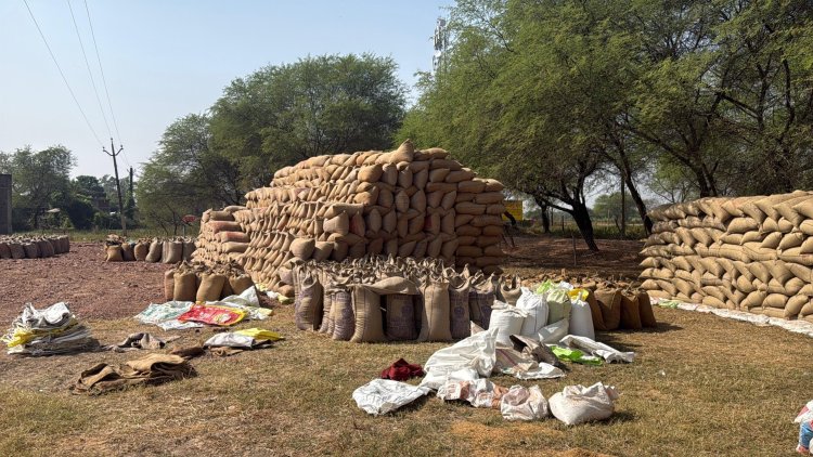*जिले में अब तक 38 लाख 76 हजार क्विंटल से अधिक धान खरीदी : 26 लाख 18 हजार क्विंटल से अधिक धान का हुआ उठाव*