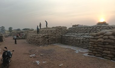 *जिले में कुल 53 लाख 01 हजार 950 क्विंटल से अधिक धान की खरीदी*  *किसानों को 1256 करोड़ रुपये से अधिक का हुआ भुगतान*