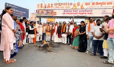 *भाजपा किसान मोर्चा ने किया राहुल गांधी का पुतला दहन*