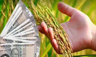 *28 फरवरी को किसानों के खाते में होगा धान बोनस राशि का अंतरण*  *कलेक्टर ने बैठक लेकर तैयारियों के लिए दिए आवश्यक निर्देश