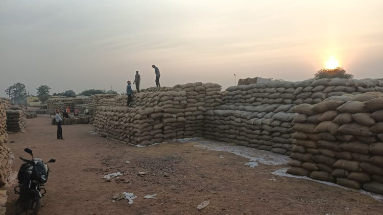 *जिले में कुल 53 लाख 01 हजार 950 क्विंटल से अधिक धान की खरीदी*  *किसानों को 1256 करोड़ रुपये से अधिक का हुआ भुगतान*