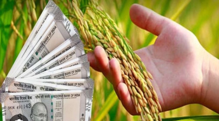 *28 फरवरी को किसानों के खाते में होगा धान बोनस राशि का अंतरण*  *कलेक्टर ने बैठक लेकर तैयारियों के लिए दिए आवश्यक निर्देश