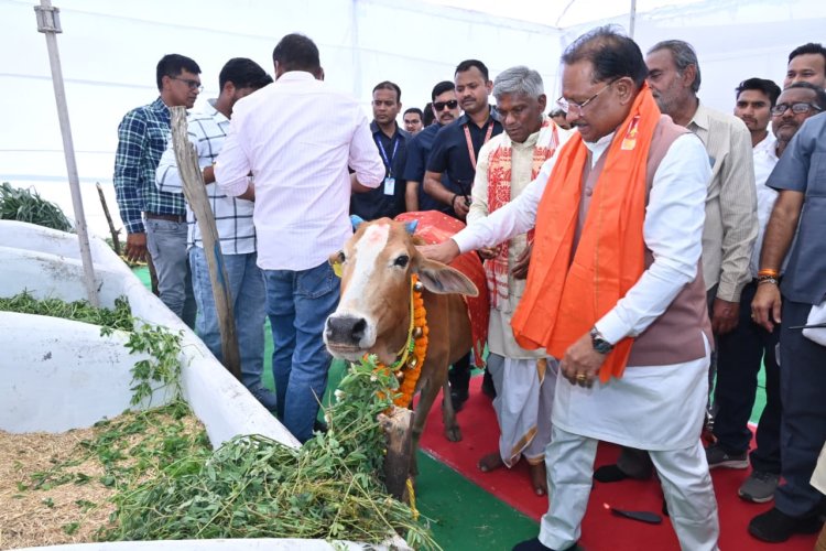 *गोमाता की पूजा-अर्चना कर मुख्यमंत्री विष्णु देव साय ने ग्राम लाखासार में गौधाम का किया शुभारंभ: कहा गोधन संरक्षण और गौसेवा को बढ़ावा देने राज्य सरकार प्रतिबद्ध,पशुपालकों से संवाद कर सेवा कार्य में लगे लोगों की सराहना की, राज्य के सभी गौधाम “सुरभि गौधाम” कहलाएंगे  मुख्यमंत्री ने दी स्वीकृति*