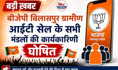 *भाजपा बिलासपुर ग्रामीण आई.टी. सेल के 14 मंडलों की कार्यकारिणी घोषित*
