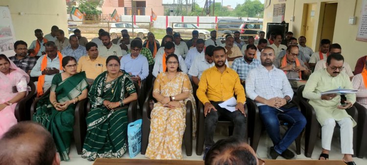 *भाजपा बिलासपुर ग्रामीण की कामकाजी बैठक सम्पन्न, संगठनात्मक कार्यों की हुई विस्तृत समीक्षा*